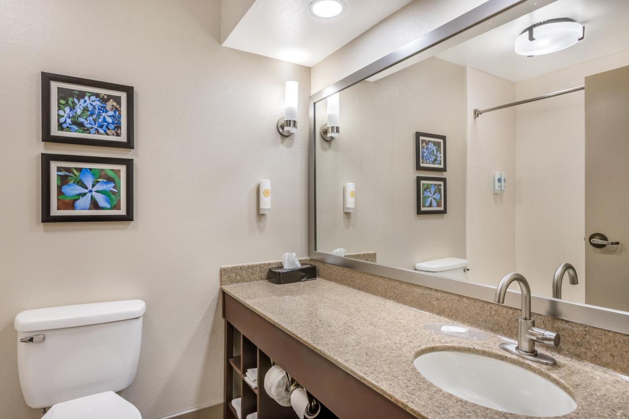 Comfort Inn & Suites Conway Kültér fotó
